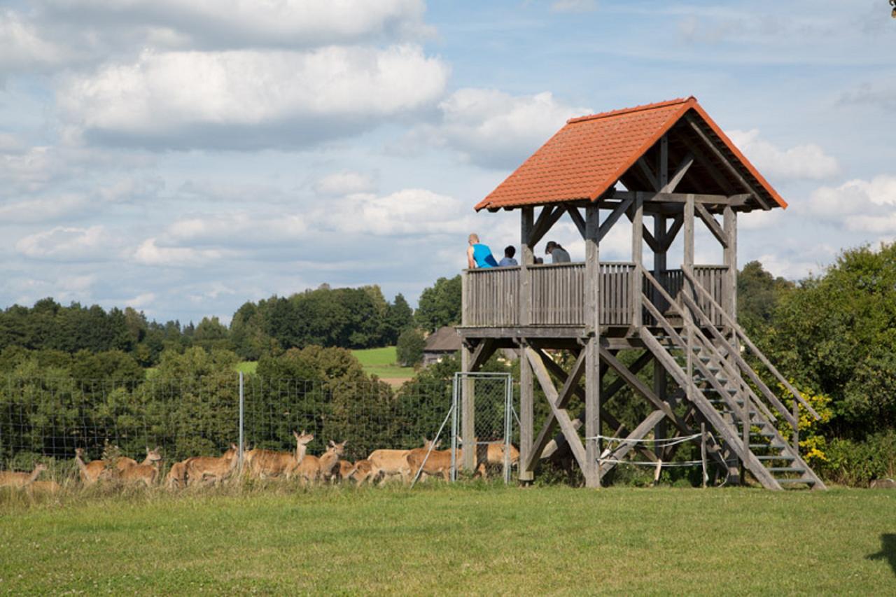 Ferienwohnung Scheidlerhof Theisseil Exterior foto